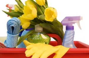 Spring Cleaning Checklist: Get Your Home Clean and Healthy