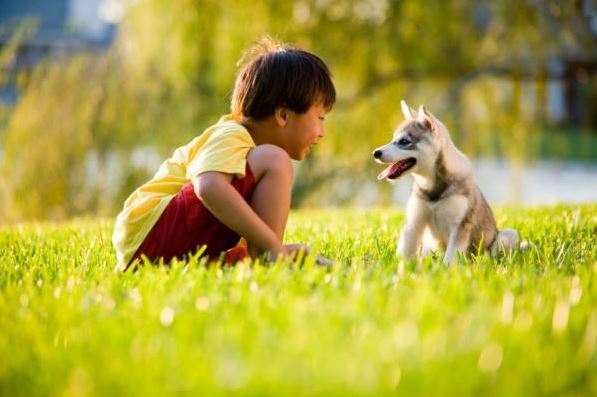 Tips For Helping A Shy Dog Adjust To Life With Your Family