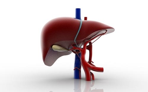 What Is Liver Cirrhosis